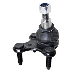 ROTULA INTERIOR TERAMONT 2018 - 2021